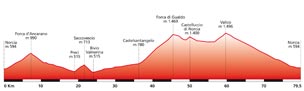 Altimetria