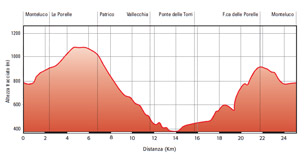 Altimetria