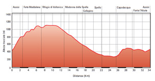 Altimetria